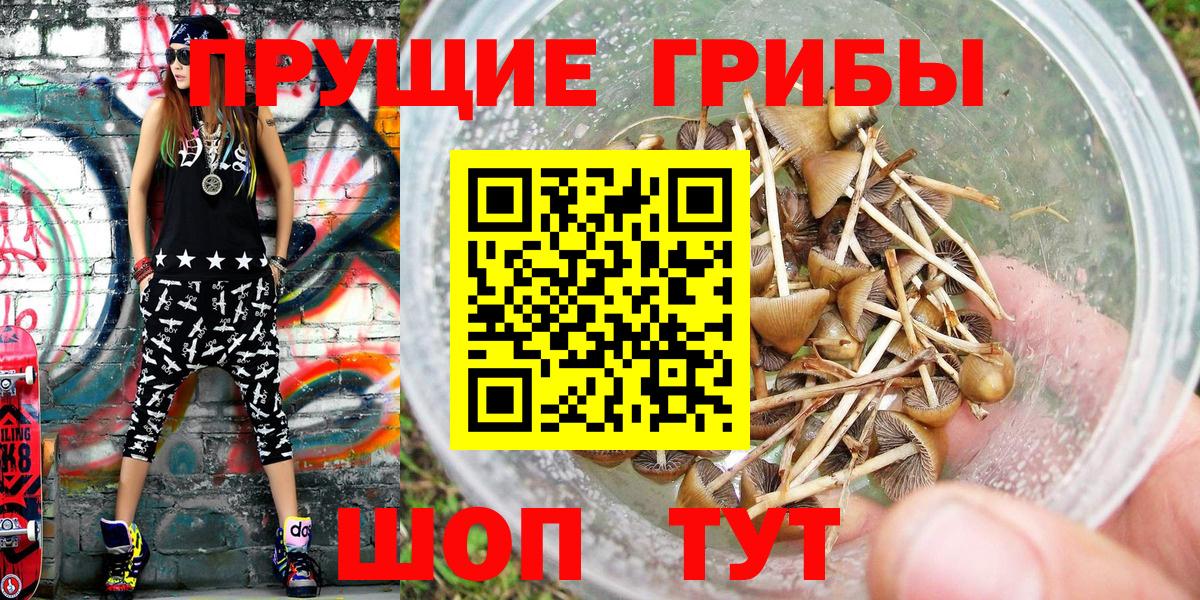 Псилоцибиновые грибы мухоморы Сатка