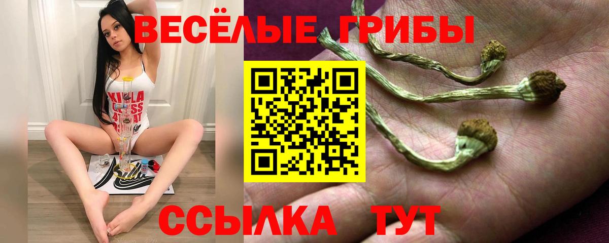 Галлюциногенные грибы Psilocybine cubensis  Вход с VPN  даркнет сайт  Сатка 